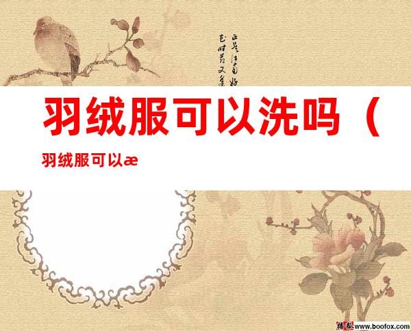 羽绒服可以洗吗(羽绒服可以洗羽绒服吗)