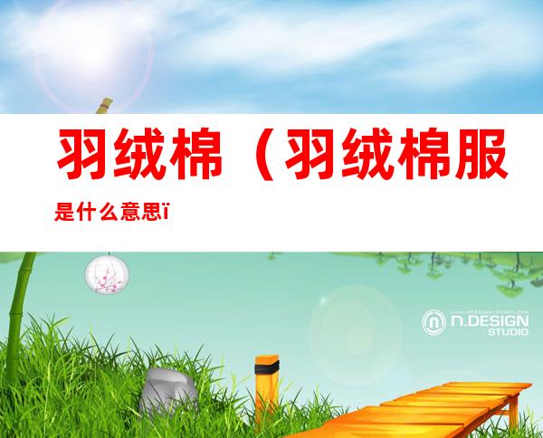 羽绒棉(羽绒棉服是什么意思)