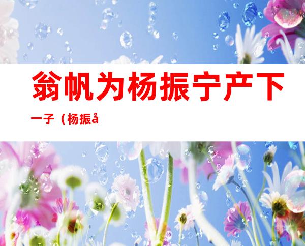翁帆为杨振宁产下一子(杨振宁和翁帆产下一女)
