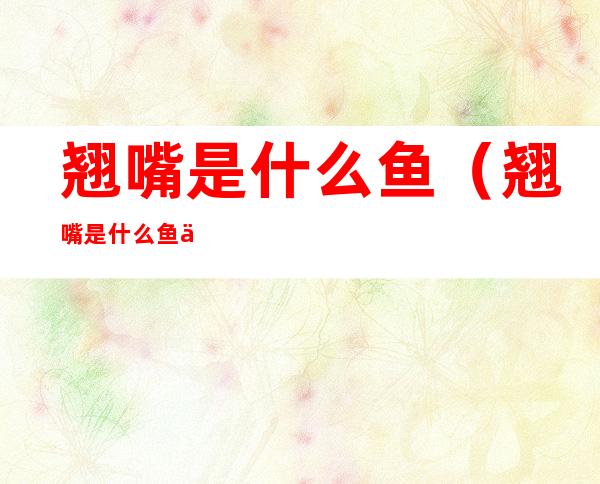 翘嘴是什么鱼(翘嘴是什么鱼俗名是什么)