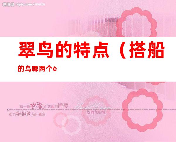 翠鸟的特点(搭船的鸟哪两个词语整体概括了翠鸟的特点)
