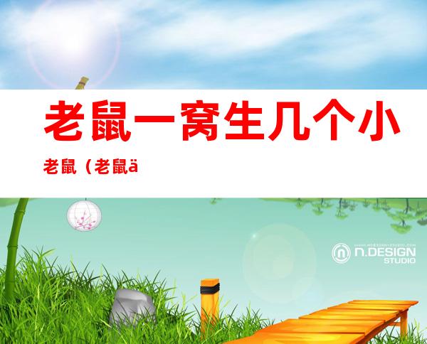 老鼠一窝生几个小老鼠(老鼠一窝有几个大老鼠)
