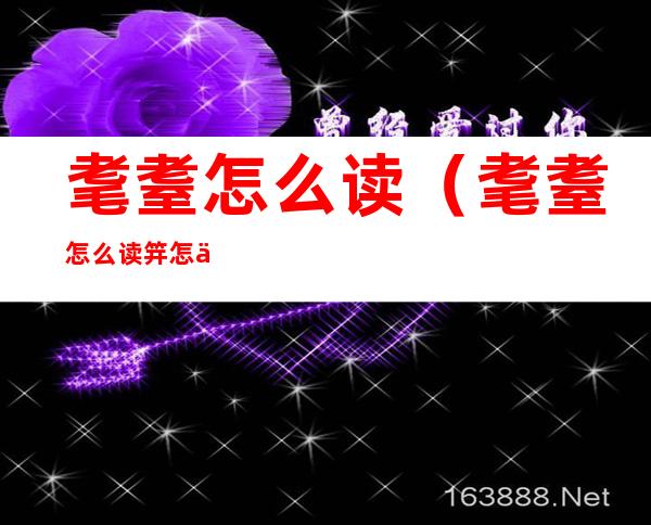 耄耋怎么读（耄耋怎么读笄怎么读）