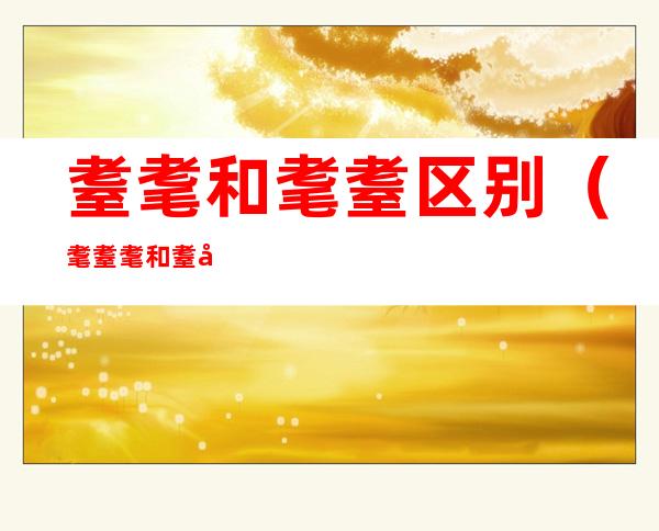 耋耄和耄耋区别（耄耋耄和耋分别是什么意思）