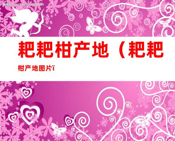 耙耙柑产地(耙耙柑产地图片)