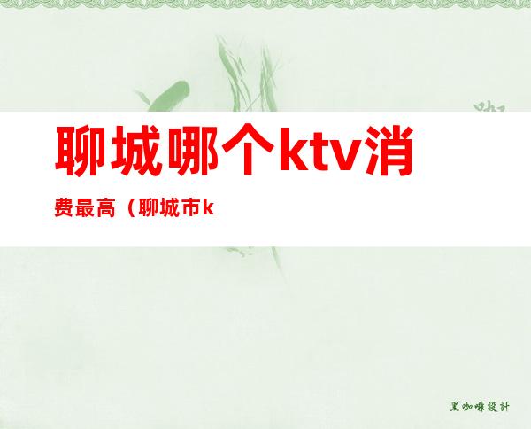 聊城哪个ktv消费最高(聊城市ktv多少钱一次)