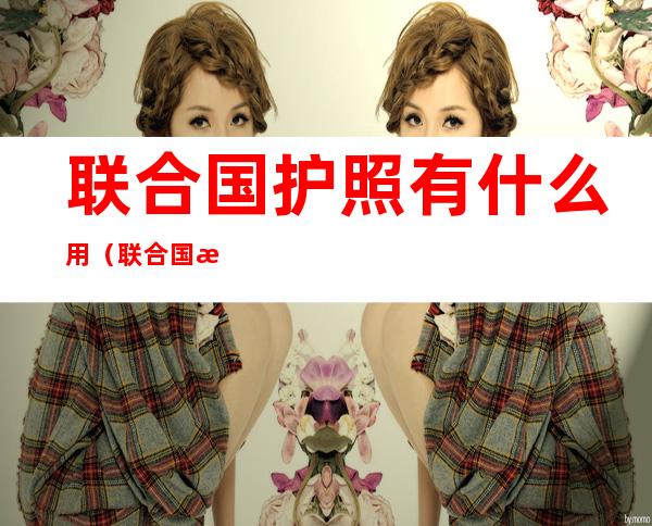 联合国护照有什么用(联合国护照有什么用处)