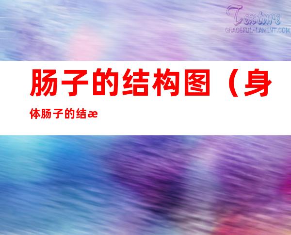 肠子的结构图(身体肠子的结构图)