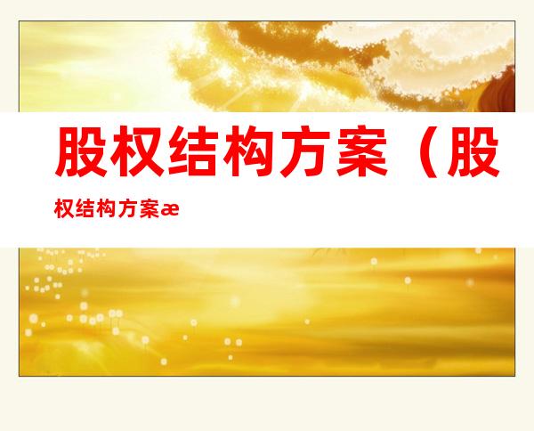 股权结构方案(股权结构方案怎么做)