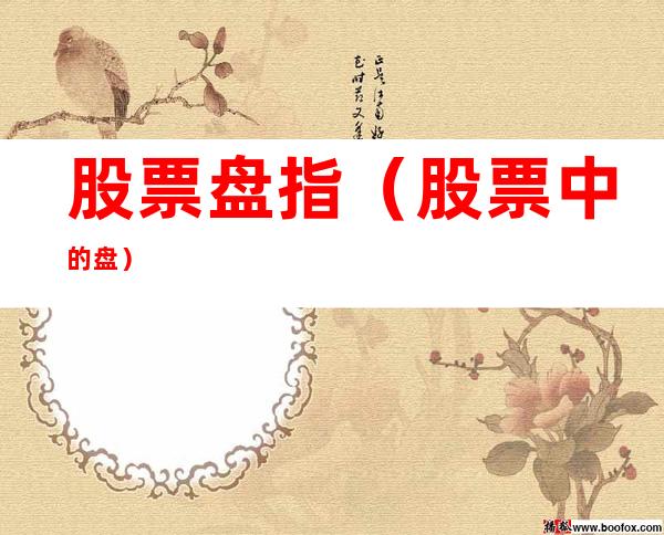 股票盘指(股票中的盘)