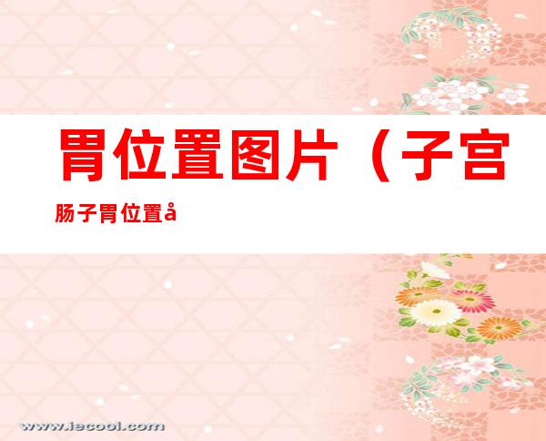 胃位置图片(子宫肠子胃位置图片)