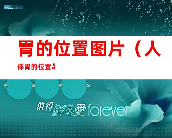 胃的位置图片（人体胃的位置图片）