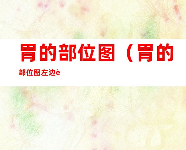 胃的部位图（胃的部位图左边还是右边）