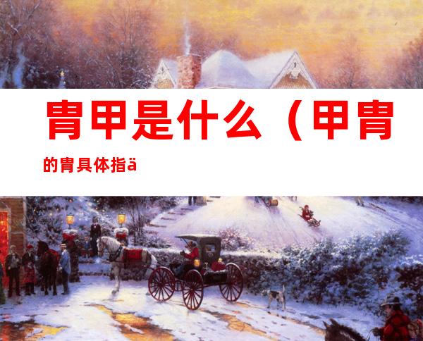 胄甲是什么（甲胄的胄具体指什么）