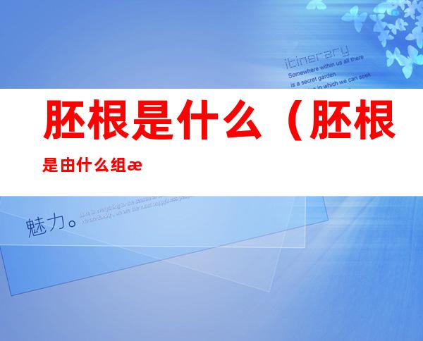 胚根是什么(胚根是由什么组成的)