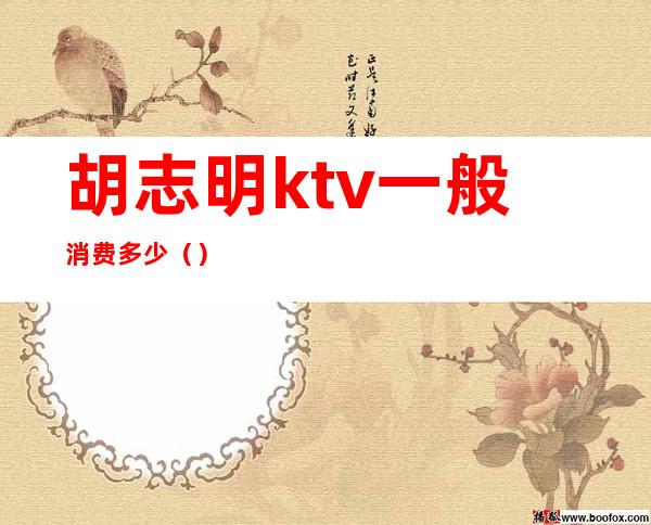 胡志明ktv一般消费多少()