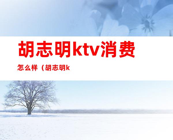 胡志明ktv消费怎么样(胡志明ktv消费怎么样)