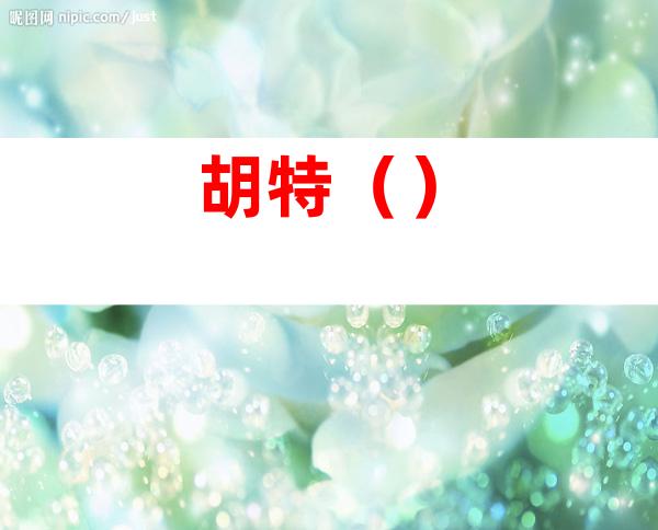 胡特()
