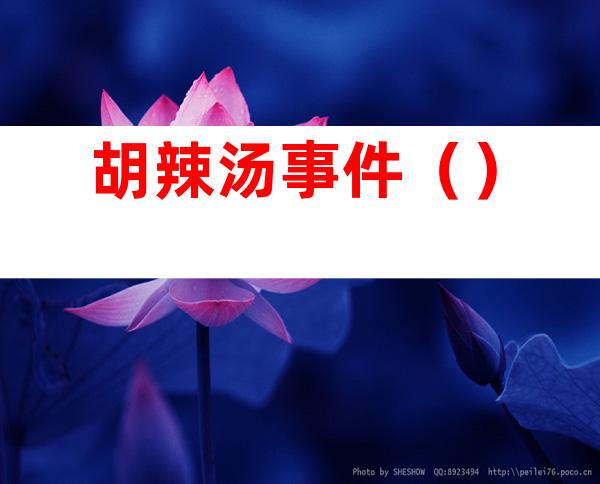 胡辣汤事件()
