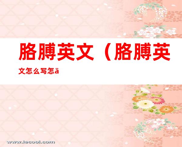 胳膊英文(胳膊英文怎么写怎么读)