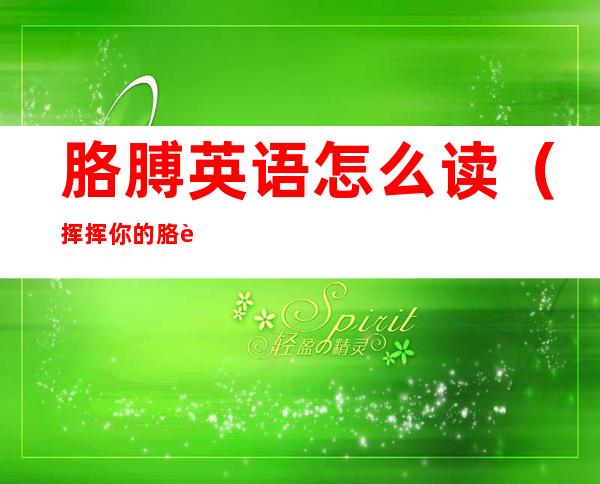 胳膊英语怎么读（挥挥你的胳膊英语怎么读）