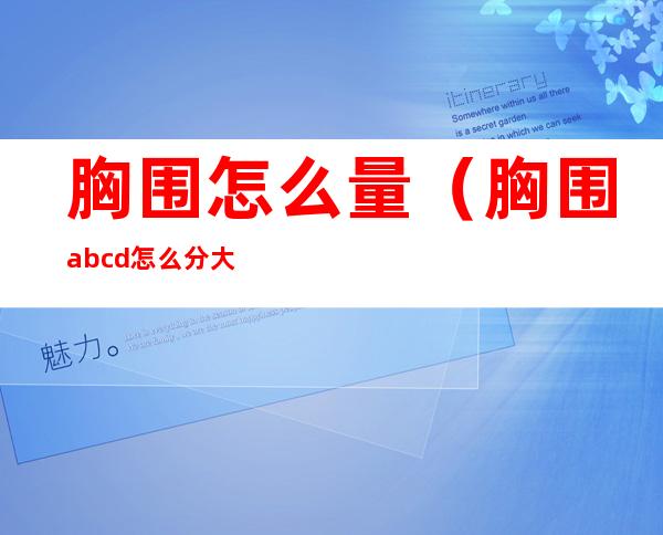 胸围怎么量(胸围abcd怎么分大小)