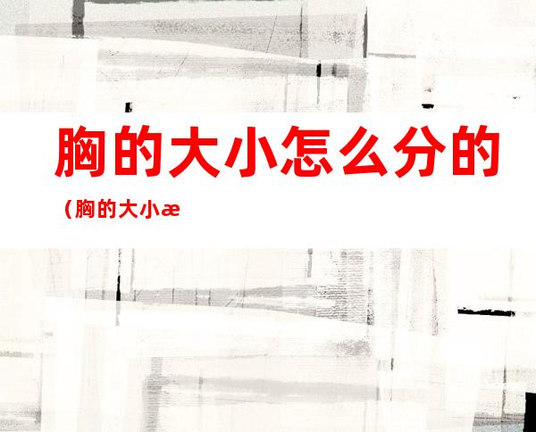 胸的大小怎么分的(胸的大小怎么分的日历)