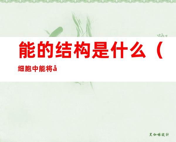能的结构是什么(细胞中能将光能转变成化学能的结构是什么)