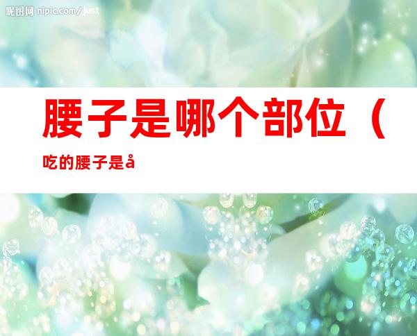 腰子是哪个部位（吃的腰子是哪个部位）