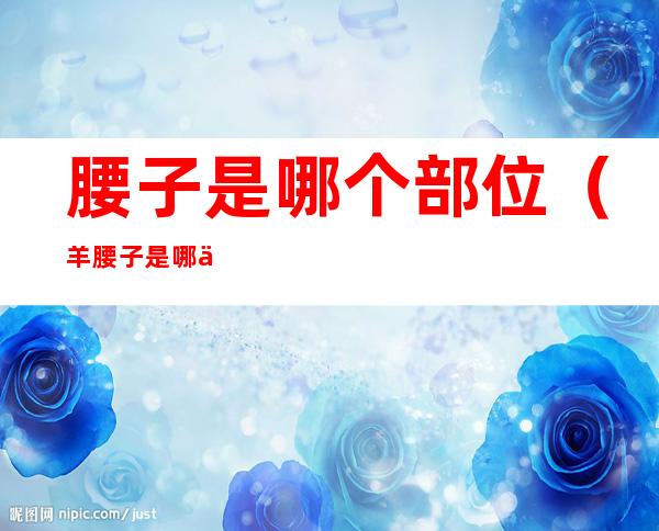 腰子是哪个部位(羊腰子是哪个部位)