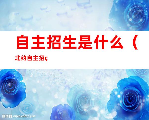 自主招生是什么(北约自主招生是什么)