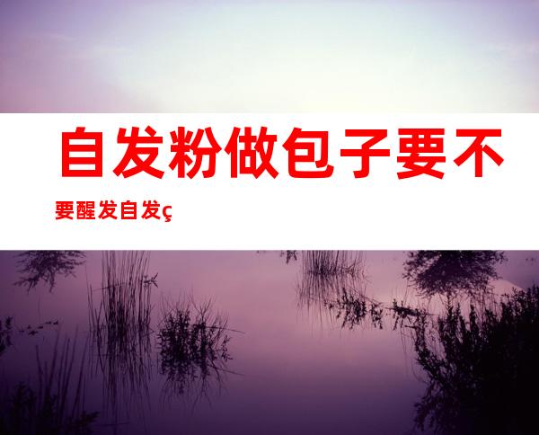 自发粉做包子要不要醒发自发粉做包子要醒发()