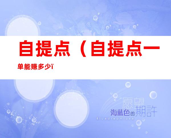 自提点（自提点一单能赚多少）