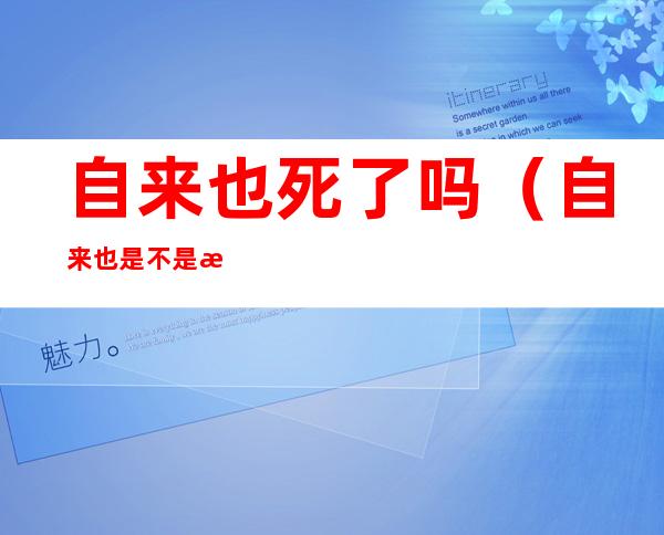 自来也死了吗（自来也是不是死了）
