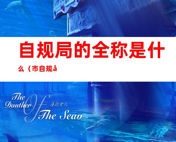 自规局的全称是什么(市自规局全称)