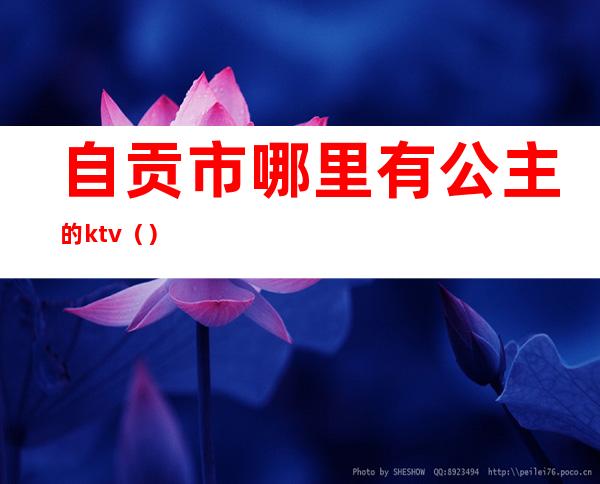 自贡市哪里有公主的ktv（）