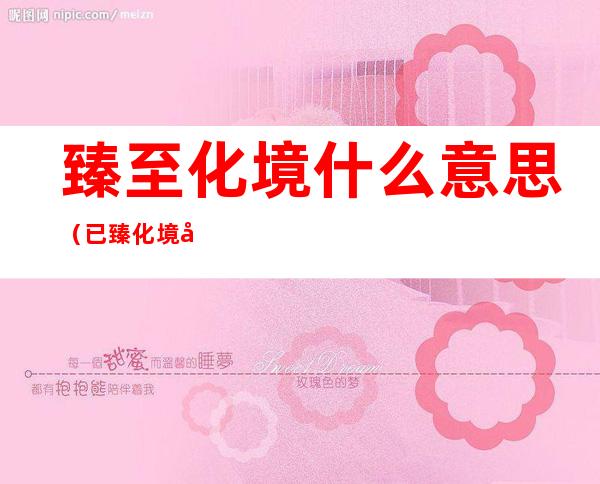 臻至化境什么意思(已臻化境出自哪里)