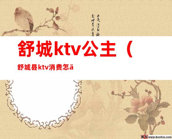 舒城ktv公主(舒城县ktv消费怎么样)