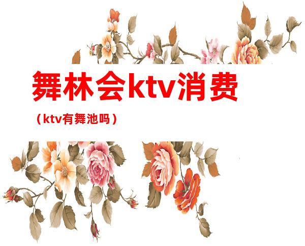 舞林会ktv消费(ktv有舞池吗)