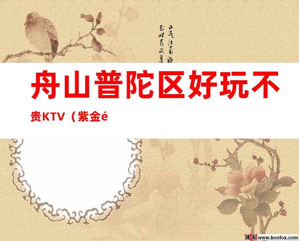 舟山普陀区好玩不贵KTV(紫金馆夜总会)性价比高。