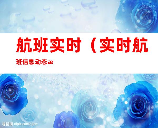 航班实时(实时航班信息动态查询)