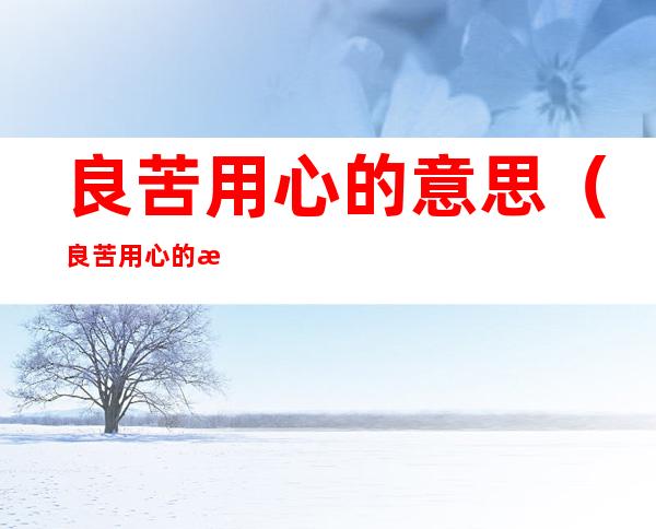良苦用心的意思(良苦用心的意思是好还是不好)