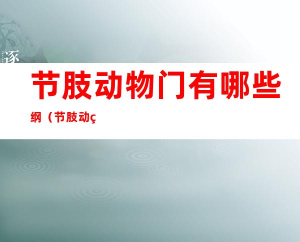 节肢动物门有哪些纲(节肢动物门常见纲区别)