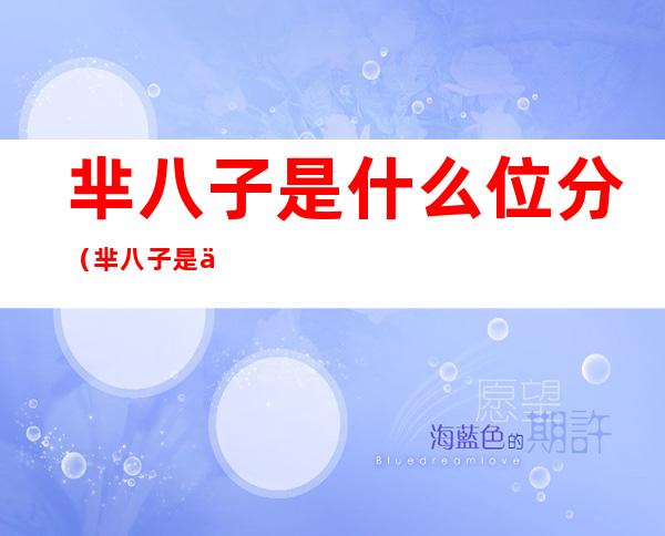 芈八子是什么位分(芈八子是什么级别)