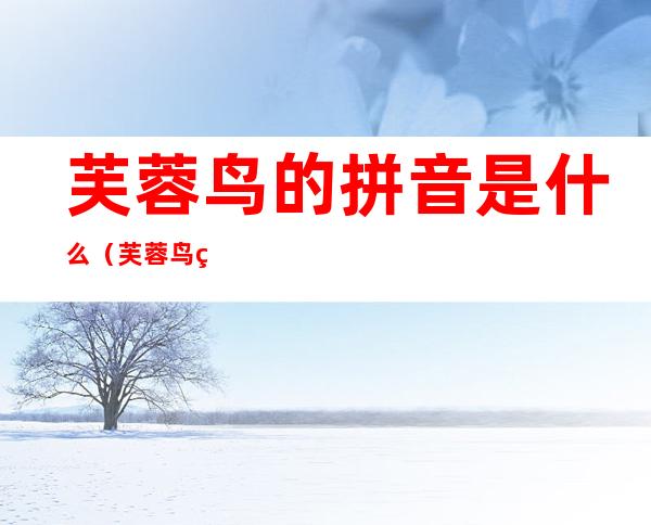 芙蓉鸟的拼音是什么(芙蓉鸟的拼音和意思是什么)