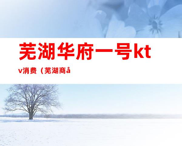 芜湖华府一号ktv消费（芜湖商务ktv有哪些）