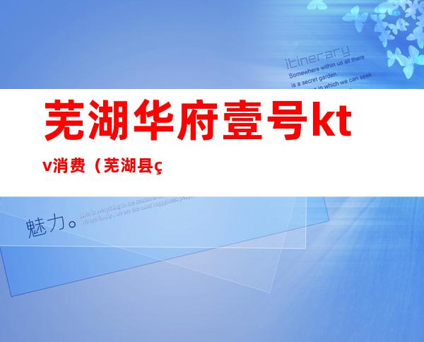 芜湖华府壹号ktv消费（芜湖县皇庭ktv）