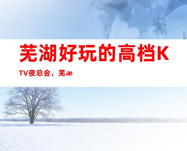 芜湖好玩的高档KTV夜总会，芜湖商务KTV预订方式