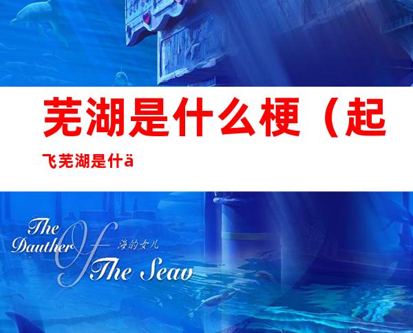 芜湖是什么梗(起飞芜湖是什么梗)
