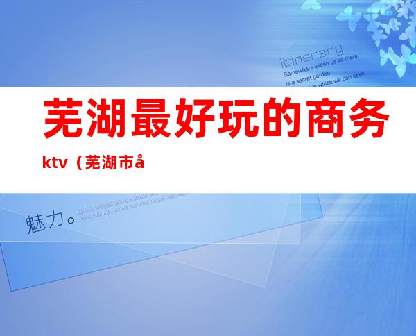 芜湖最好玩的商务ktv（芜湖市区哪里好玩）